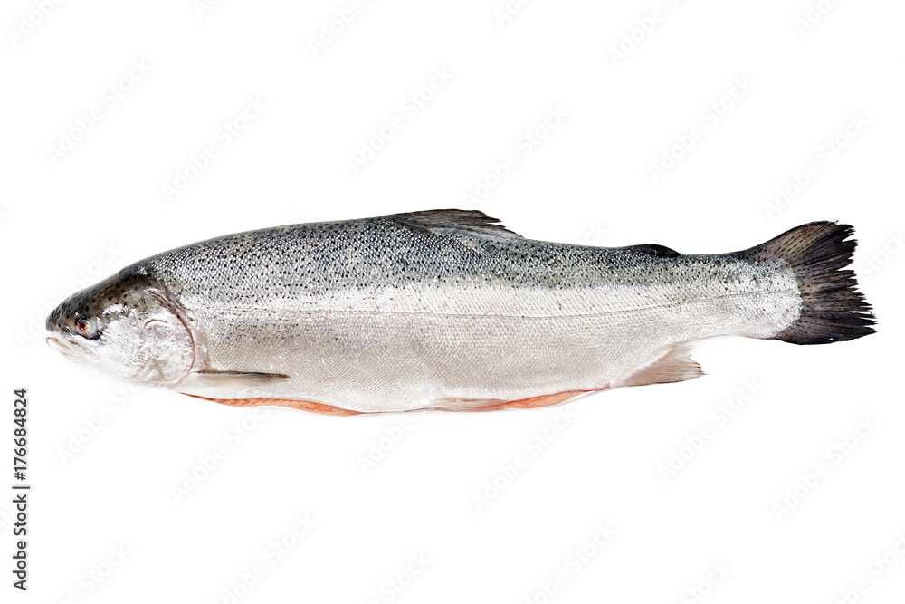 Fresh raw salmon red fish isolated on a white background. Flat lay. Top view Fresh raw salmon red fish isolated on a white background. Flat lay. Top view