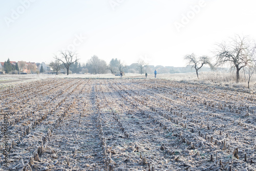 Winter field photo