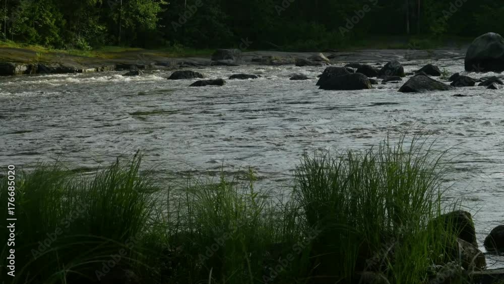 Timelaps. The rapid stream in the woods, forest stream running over rocks. Timelaps. The rapid stream in the woods, forest stream running over rocks.