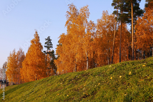 Fascinating autumn scenery. Ekaterinburg, Sverdlovsk oblast, Russia.