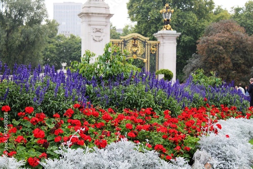 Jardín Buckinham