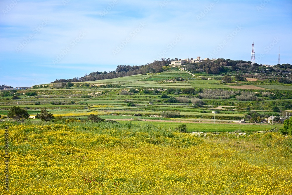 View across agricultural fields and meadows during the Springtime, Imtarfa, Malta.