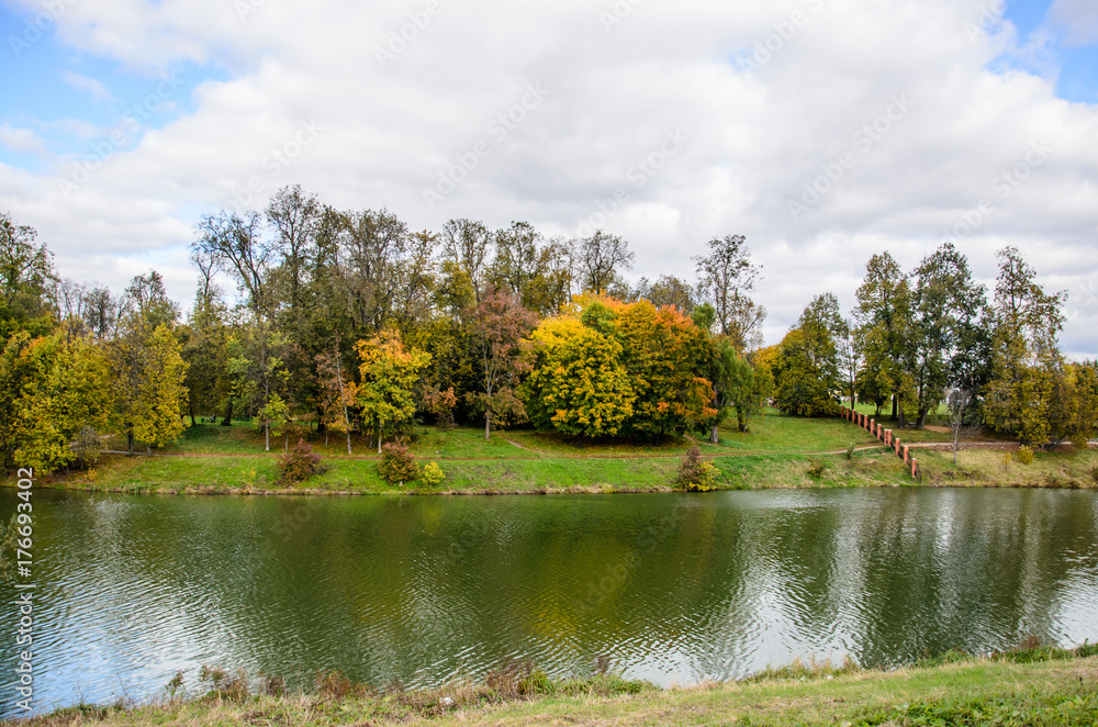 View of an autumn park with colorful leaves