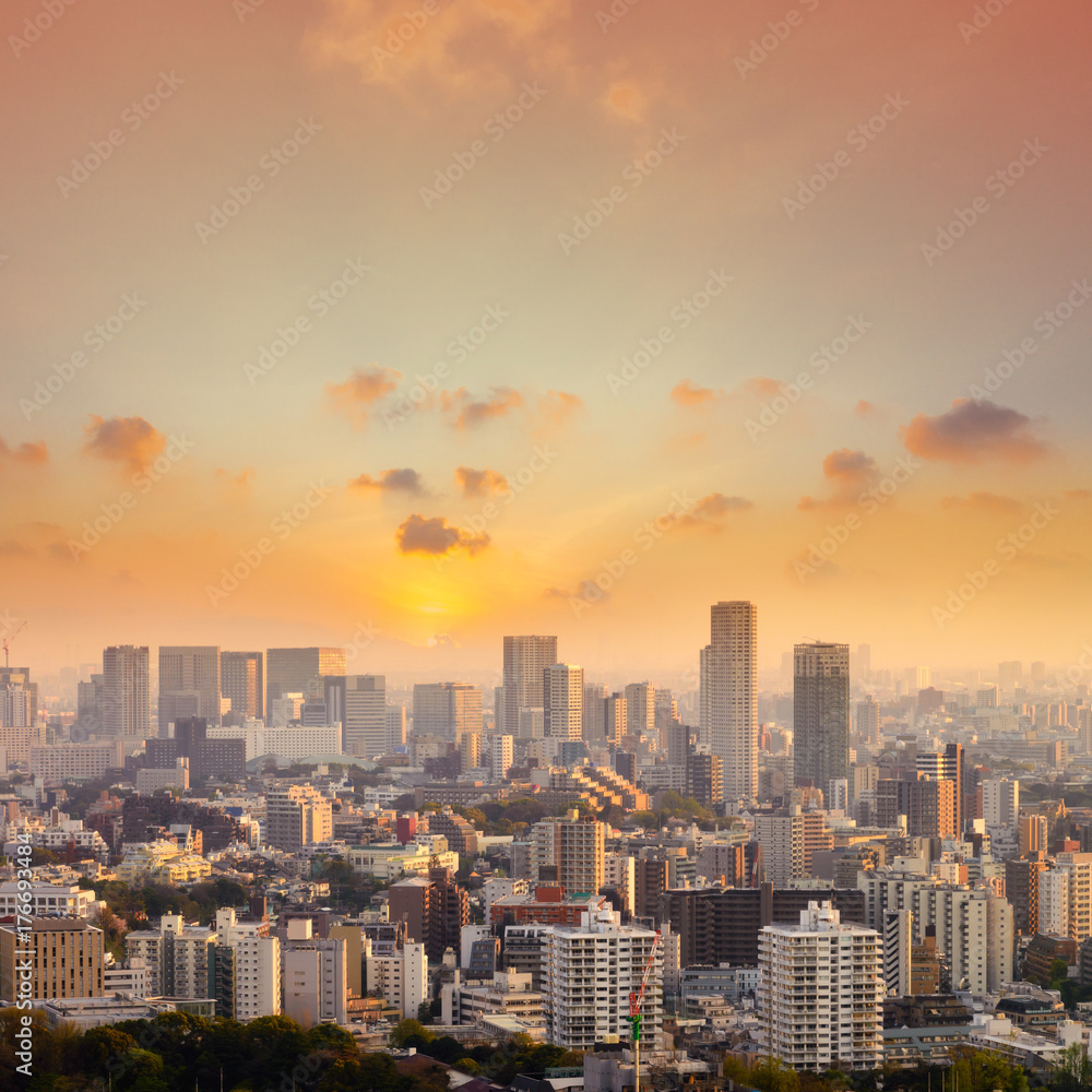 Fototapeta premium Pejzaż miasta Tokio, Japonia. Widok z lotu ptaka na nowoczesny biurowiec i wieżowiec w centrum tokio z jasnym tle nieba. Tokio to metropolia i centrum nowoczesnego biznesu nowej Azji