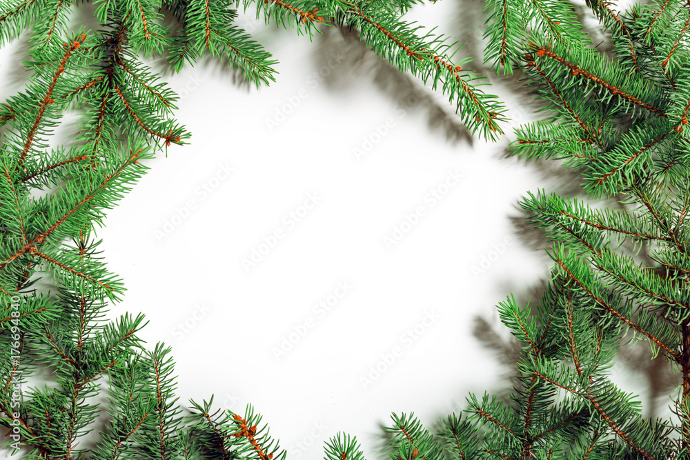 Fir branches Fir branches