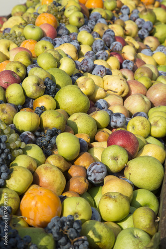 Fototapeta Naklejka Na Ścianę i Meble -  Frutta varia