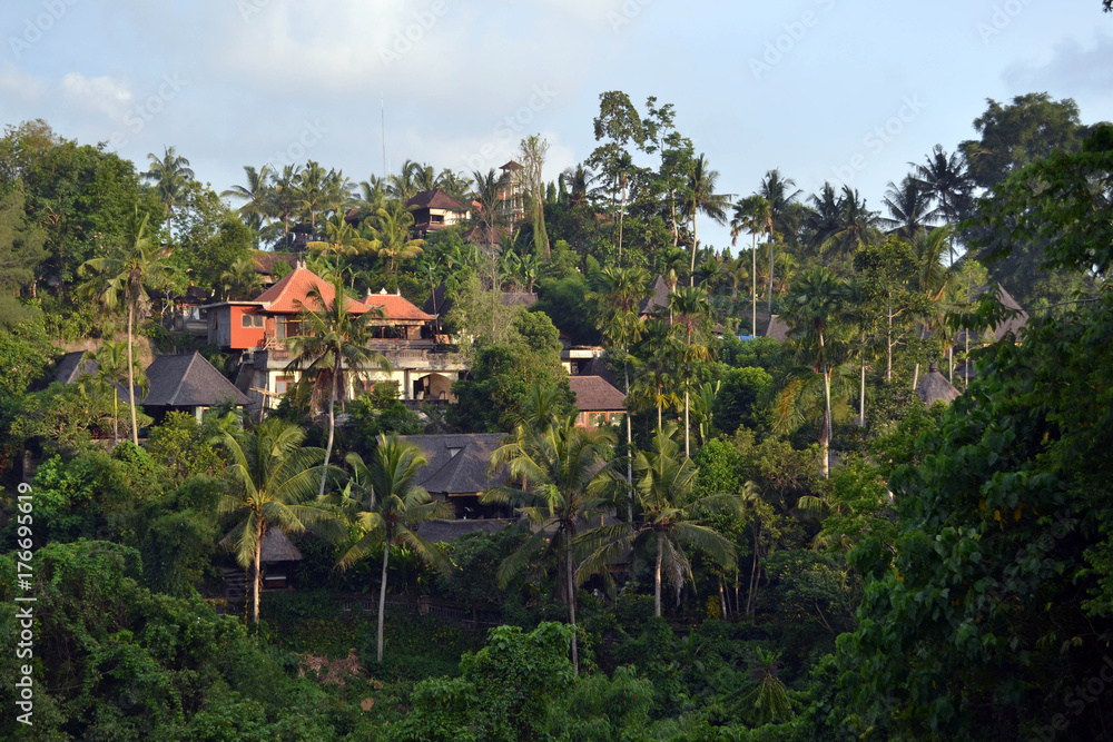 The view around Campuhan ridge in Ubud, Bali. A nice track with relaxing view The view around Campuhan ridge in Ubud, Bali. A nice track with relaxing view