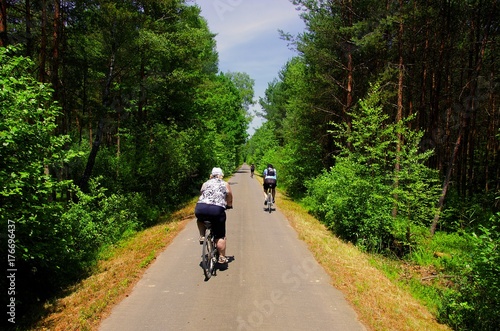 Cyclist riding walking along a cycle path in the wood surroundings of Třeboň, South Bohemia.