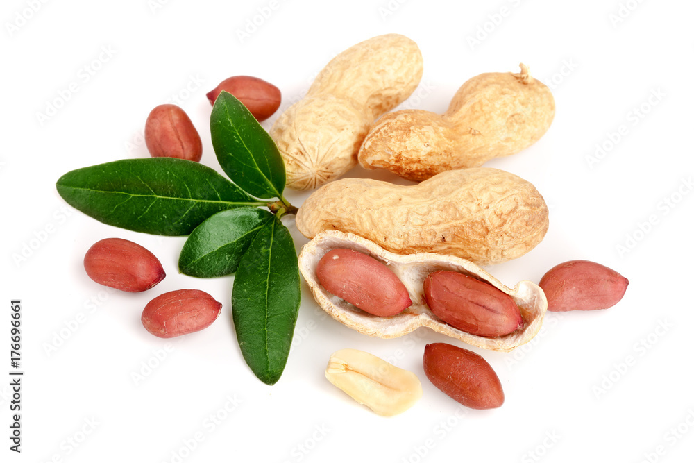 peanuts with leaf isolated on white background peanuts with leaf isolated on white background