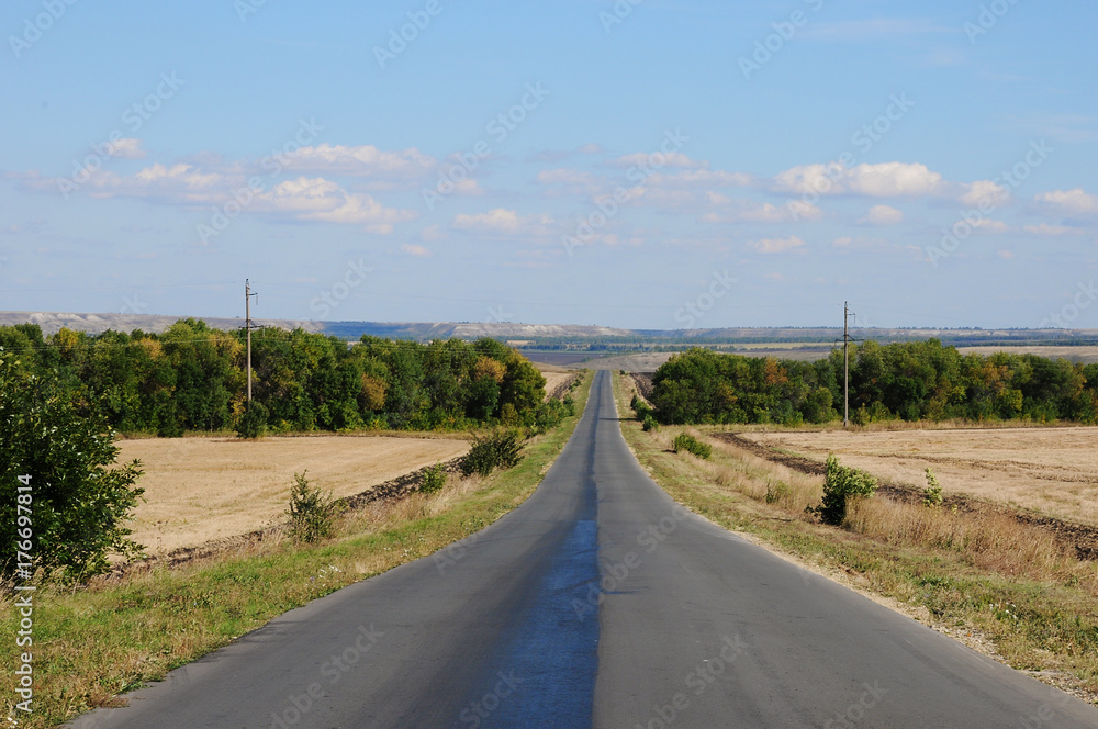Country summer landscape with a road. Hitch-hiking on the roadside