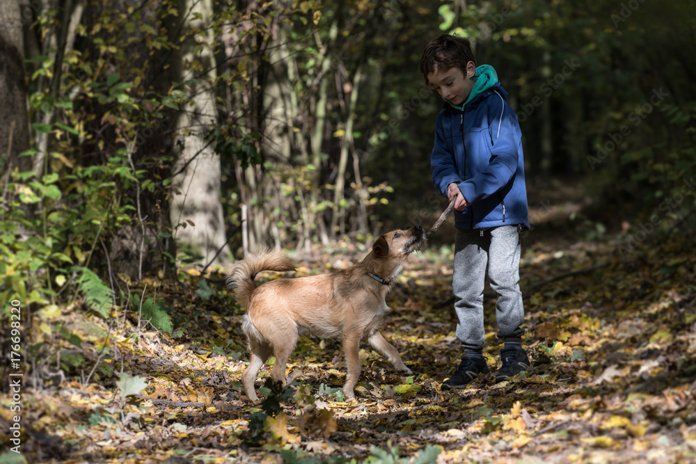 Obraz premium dog and boy friends, dog training 