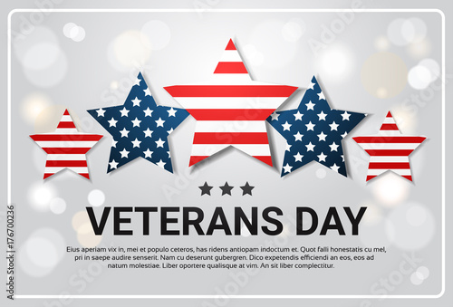 Veterans Day Celebration National American Holiday Banner