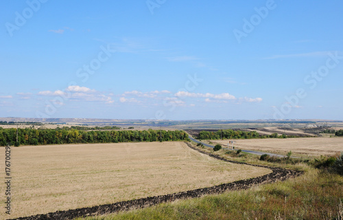 Summer countryside along the road in sunny day photo