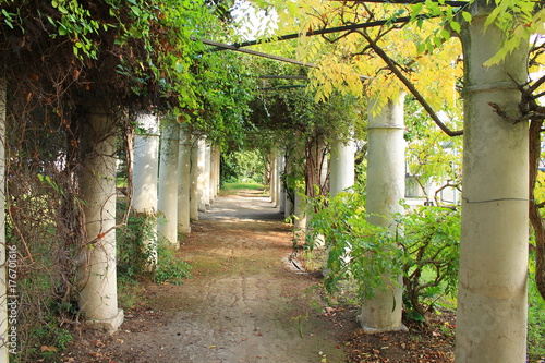 Public garden in Montpellier, Herault, France