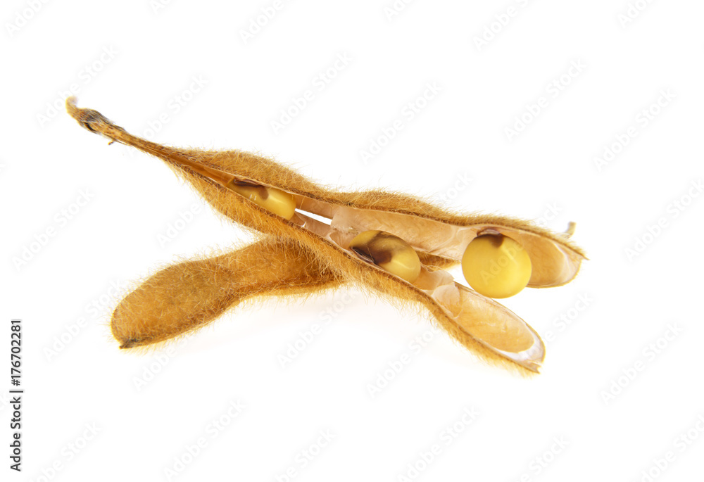 Naklejka premium Soybean pods isolated on white background