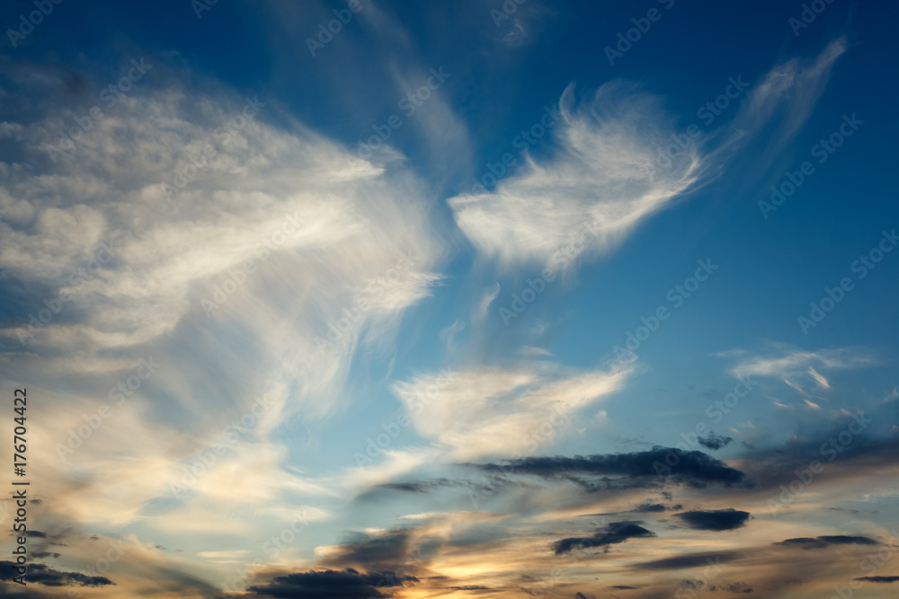 Fototapeta premium Background of transparent white clouds in a light blue sky illuminated by the setting sun.