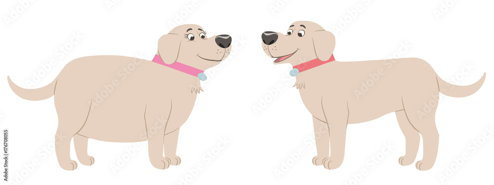 Fat Labrador meet fit Labrador dog cartoon character