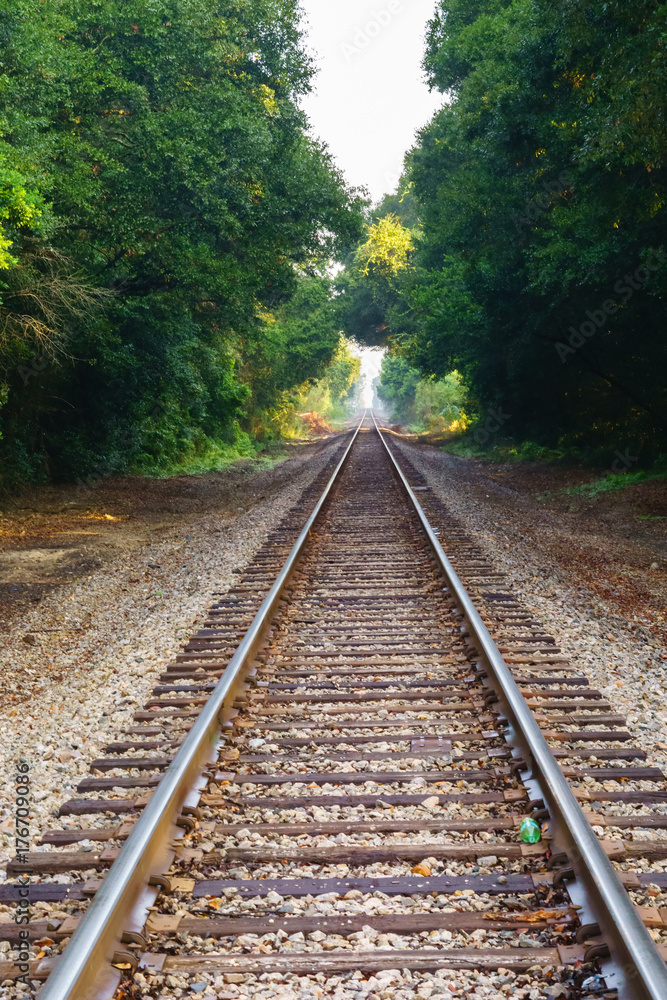 Beckoning Tracks