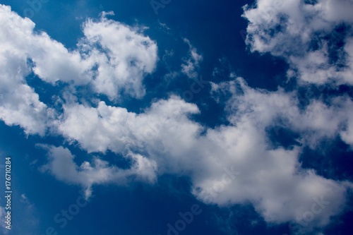 The fluffy clouds in the sky above.