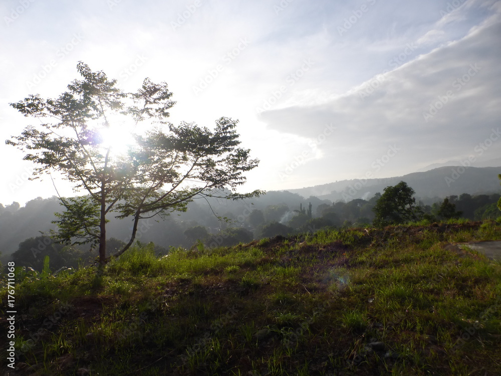 Obraz premium nature