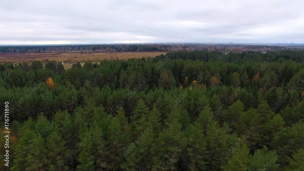 Northern Nature in Autumn. The drone shoots video flying over a pine forest in autumn in Northern Europe. At the bottom of spruce and pine, in front of the river
Northern Nature in Autumn. The drone shoots video flying over a pine forest in autumn in Northern Europe. At the bottom of spruce and pine, in front of the river
