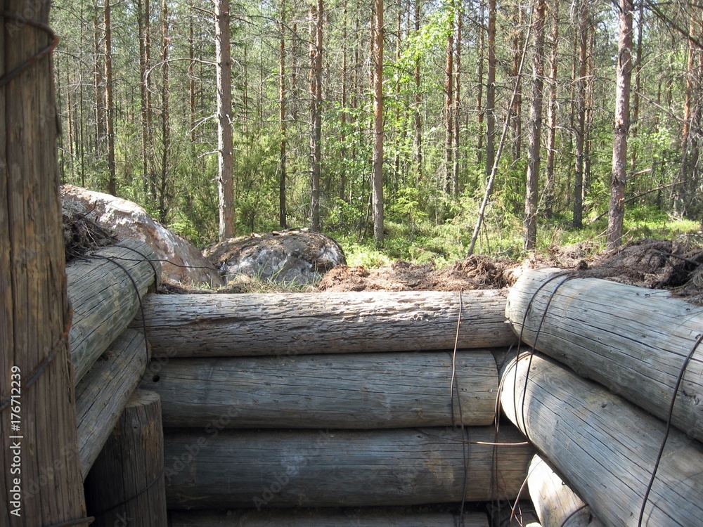 Fototapeta premium World War 2 type trenches in Finland