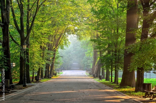 Summer morning urban landscape. Beautiful alley among the trees in the castle park in Pszczyna, Poland.