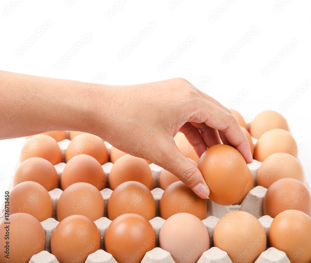 Person choosing the best egg from a carton of eggs. Person choosing the best egg from a carton of eggs.