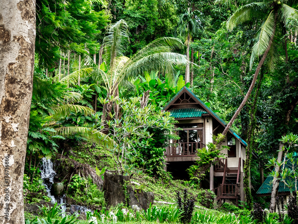 house in tropical forest in Thailand house in tropical forest in Thailand