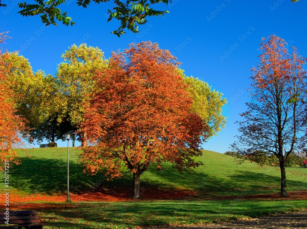 Naklejka premium Herbst