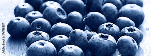 background berries blueberries panorama