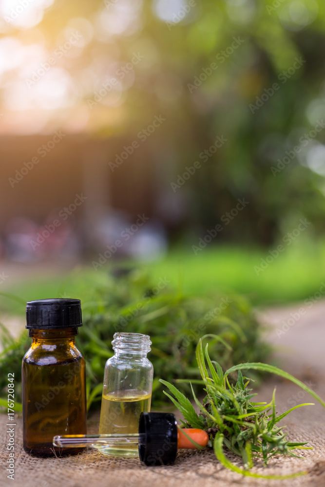 Medicinal cannabis with extract oil in a bottle Medicinal cannabis with extract oil in a bottle