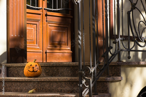 Funny Halloween pumpkin cat