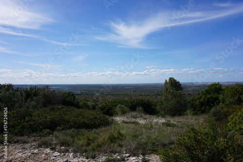 Località Manfio in Ruffano (LE), Puglia, Italia photo