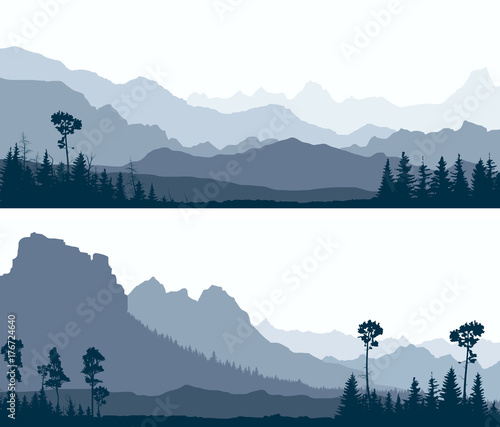 Horizontal banners of wild coniferous wood with glade and mountains.
