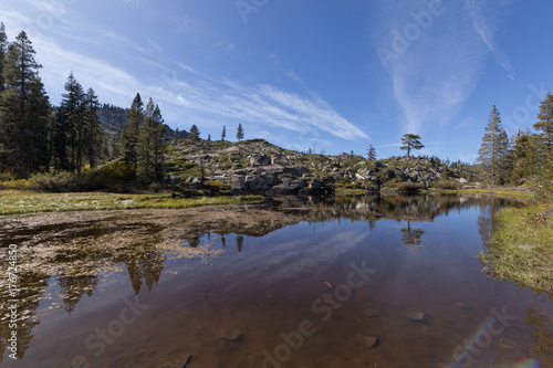 Wallpaper Mural Veronica Lk. Torontodigital.ca