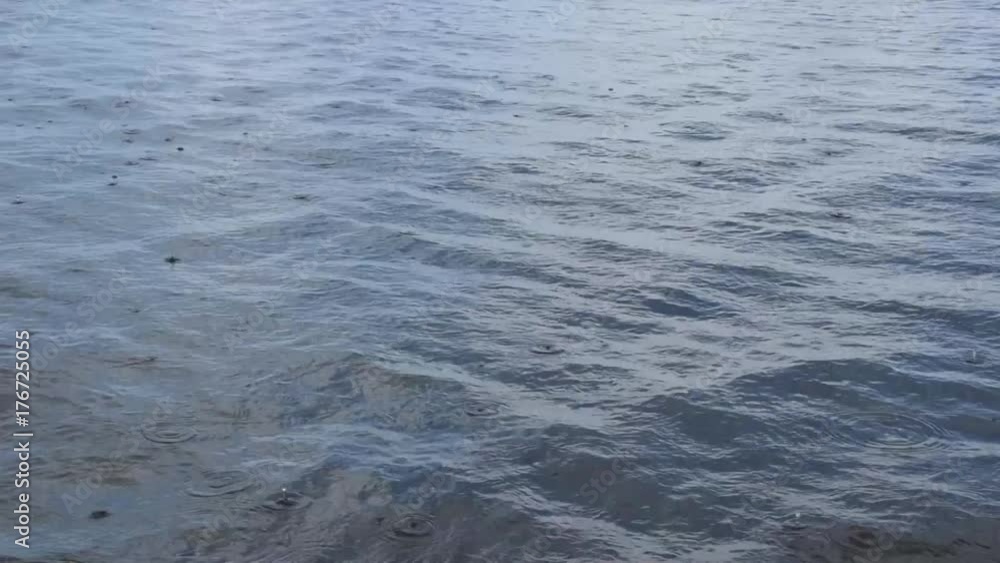 Rain drops on the water surface