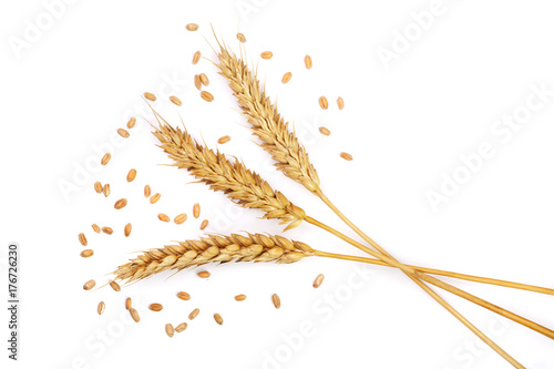 grain and ears of wheat isolated on white background. Top view photo