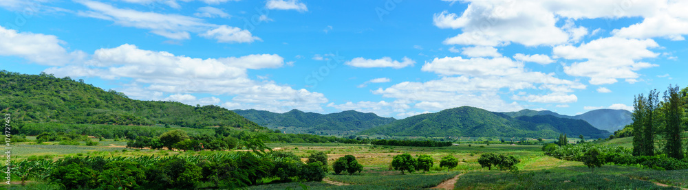 panorama landscape of green meadow field in national park with blue sky and cloud and tree background.