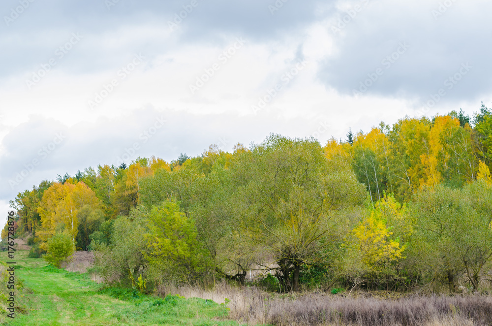 autumn forest landscape with golden leaves and beautiful nature, a beautiful picture outdoor autumn forest landscape with golden leaves and beautiful nature, a beautiful picture outdoor