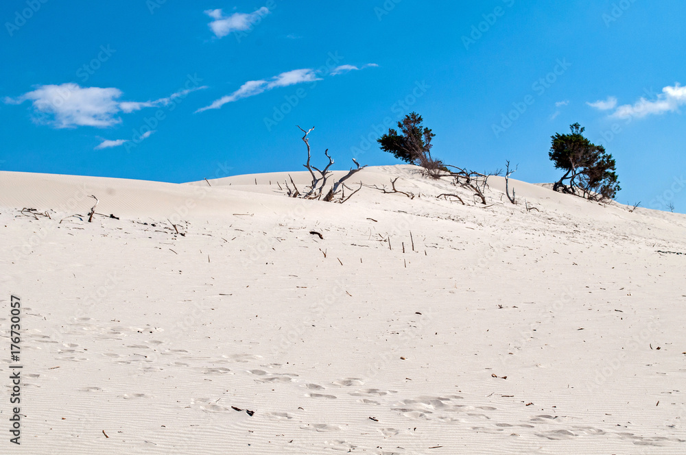 Blue sky, clear sea and sand dunes on the island of Sardinia