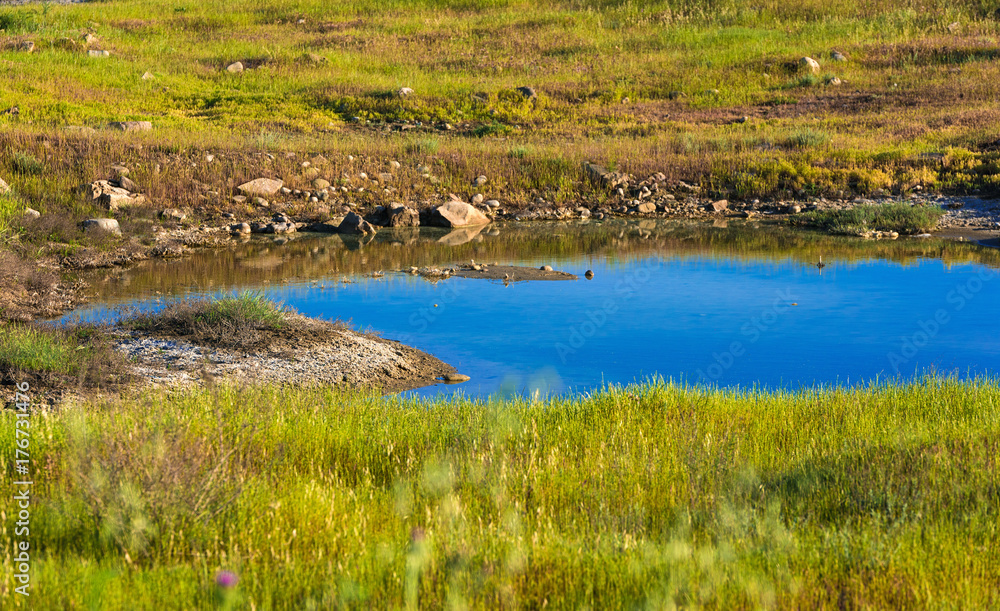 Small shallow pond in the field Small shallow pond in the field