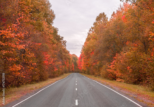 Autumn road and beautiful scenery along the sides of the road. bright trees  