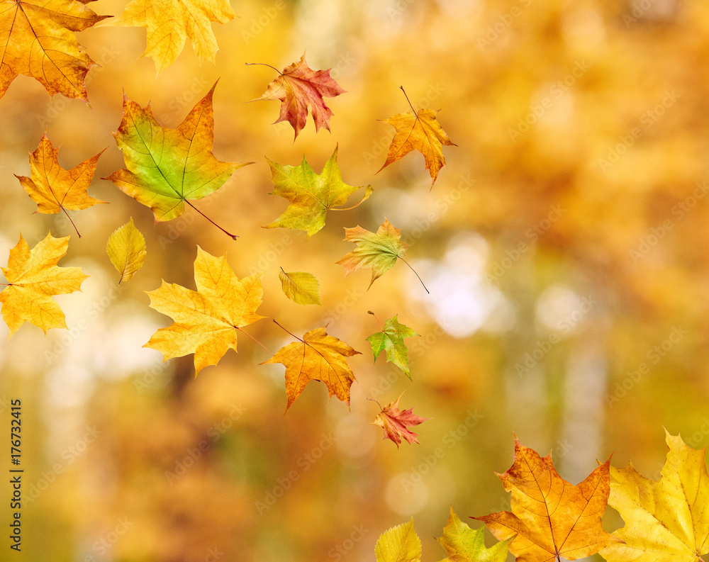 Abstract autumn background with falling leaves Abstract autumn background with falling leaves