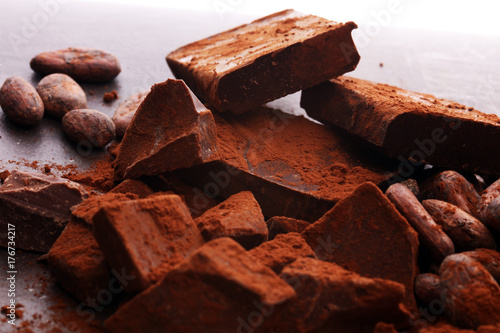 Raw cocoa beans, cocoa powder and chocolate pieces.