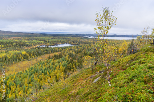 Mountains, forests, lakes view in autumn. Fall colors - ruska time in Konttainen. One part of Karhunkierros Trail. National park in Finland. Lapland, Nordic countries in Europe