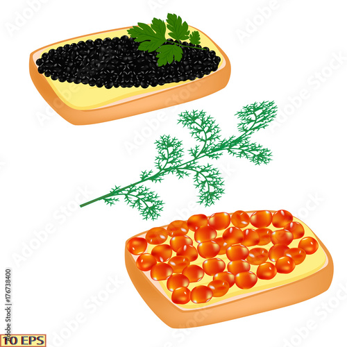 Red caviar and black. Salmon caviar and sturgeon caviar. Sandwich with caviar isolated on white background.  Vector illustration.