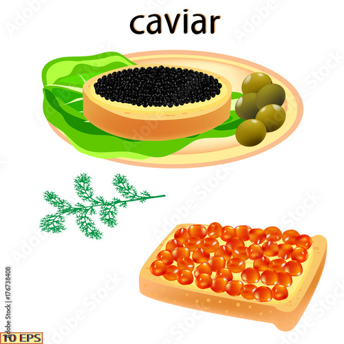 Red caviar and black. Salmon caviar and sturgeon caviar. Sandwich with caviar isolated on white background.  Vector illustration.