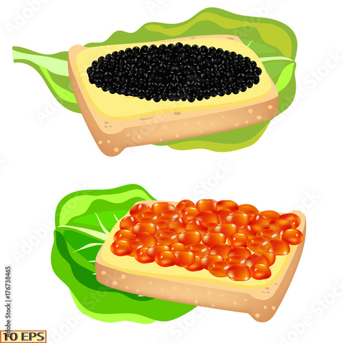 Red caviar and black. Salmon caviar and sturgeon caviar. Sandwich with caviar isolated on white background.  Vector illustration.