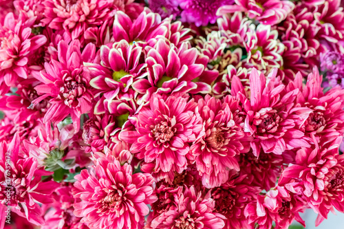 Red pink chrysanthemum flower bouquet